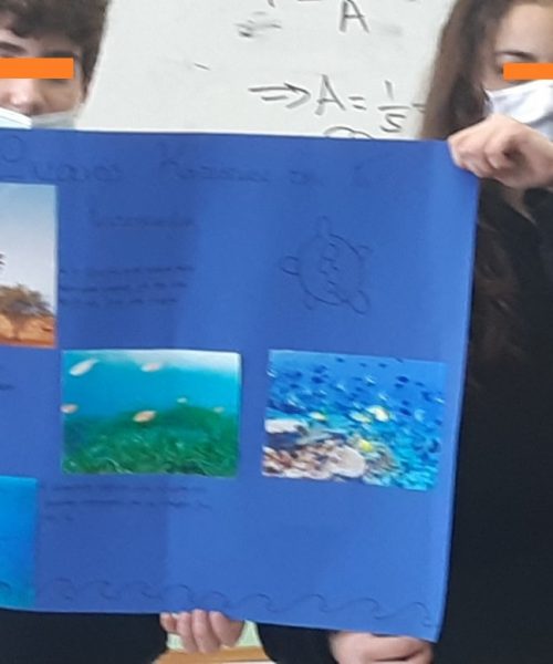 blue_school4