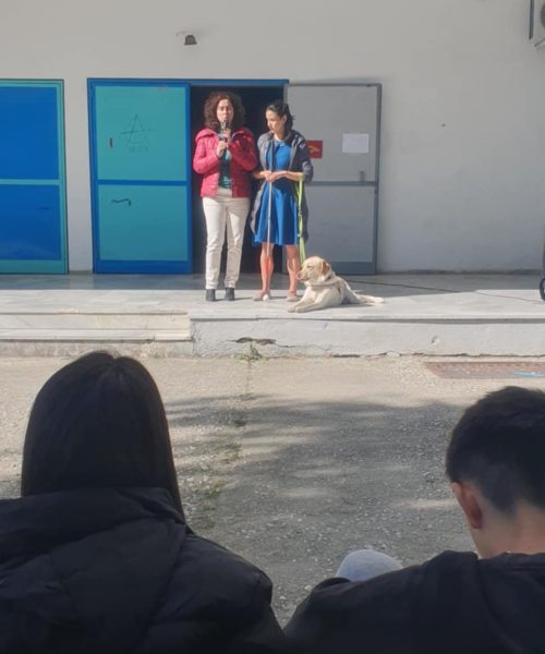 Δράση-3_06-03-25